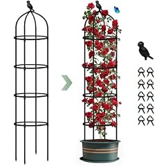 Obelisks climbing plants for sale  Delivered anywhere in UK