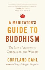 Meditator guide buddhism for sale  Delivered anywhere in UK