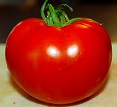 Celebrity tomato seeds for sale  Delivered anywhere in USA 