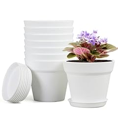 Homeuouz packs blumentopf gebraucht kaufen  Wird an jeden Ort in Deutschland