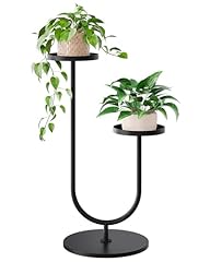 Gentingbro tall plant for sale  Delivered anywhere in USA 
