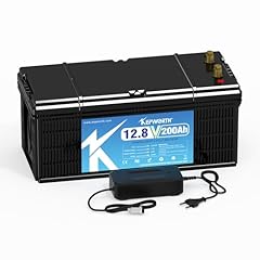 Lifepo4 batteria 12v usato  Spedito ovunque in Italia 