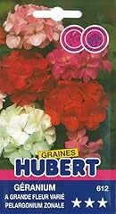 Graines géranium grande d'occasion  Livré partout en France