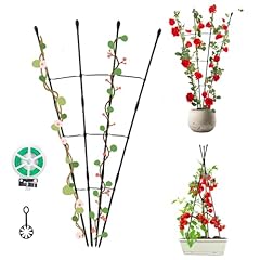 Garden trellis climbing for sale  Delivered anywhere in USA 