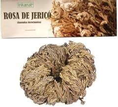 Rosa gerico pianta usato  Spedito ovunque in Italia 