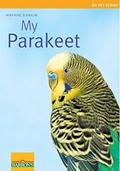 Parakeet for sale  Delivered anywhere in USA 