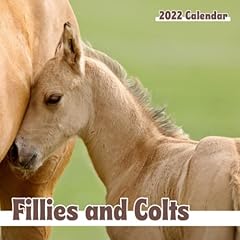 Fillies colts calendar for sale  Delivered anywhere in USA 