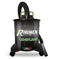 Ribimex aspiracenere elettrico usato  Spedito ovunque in Italia 