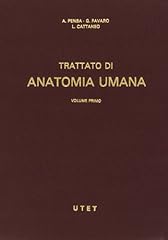 Trattato anatomia umana usato  Spedito ovunque in Italia 
