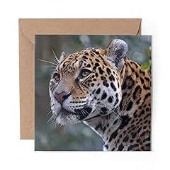 Greeting card majestic for sale  Delivered anywhere in UK
