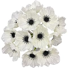 Lebritamfa 14pcs real for sale  Delivered anywhere in USA 
