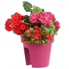 Botle balkonkiste blumenkasten gebraucht kaufen  Wird an jeden Ort in Deutschland