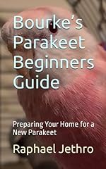 Bourke parakeet beginners for sale  Delivered anywhere in USA 