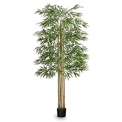 Maia shop 6ft for sale  Delivered anywhere in USA 