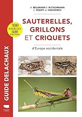Sauterelles grillons criquets d'occasion  Livré partout en France