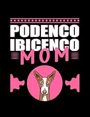 Ibizan hound podenco for sale  Delivered anywhere in UK