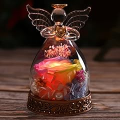 Aastin preserved real for sale  Delivered anywhere in USA 