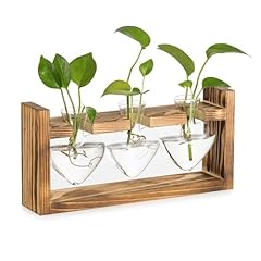 Glasseam glas propagation gebraucht kaufen  Wird an jeden Ort in Deutschland