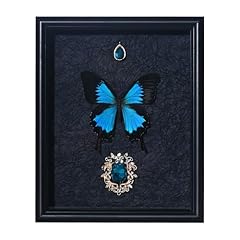 Real butterfly framed for sale  Delivered anywhere in USA 
