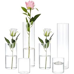 Cewor 6pcs glass for sale  Delivered anywhere in USA 