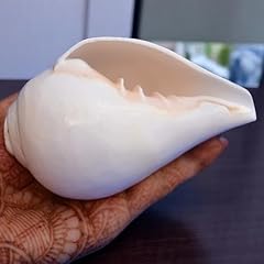 Genuine blowing shankh for sale  Delivered anywhere in USA 