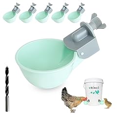Bicchieri per acqua usato  Spedito ovunque in Italia 