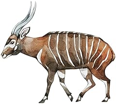Samunshi bongo antilope gebraucht kaufen  Wird an jeden Ort in Deutschland