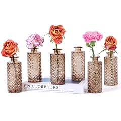 Bigivaca set glass for sale  Delivered anywhere in USA 