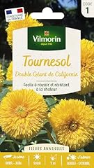 Vilmorin tournesol double d'occasion  Livré partout en France