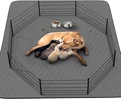Washable puppy dog for sale  Delivered anywhere in USA 