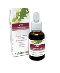 Oak quercia comune usato  Spedito ovunque in Italia 