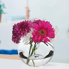 Glass vase small for sale  Delivered anywhere in UK
