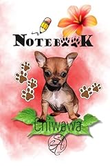 Libreta chiwawa usato  Spedito ovunque in Italia 
