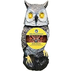 Owlery solar owl for sale  Delivered anywhere in USA 