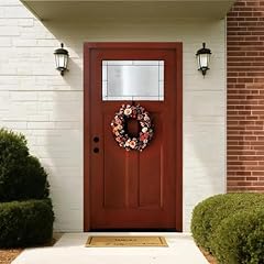 Fiberglass entry door for sale  Delivered anywhere in USA 