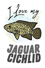 Love jaguar cichlid for sale  Delivered anywhere in USA 