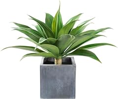 Velener artificial plant for sale  Delivered anywhere in USA 