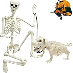 Camirus 5.4ft skeleton for sale  Delivered anywhere in USA 