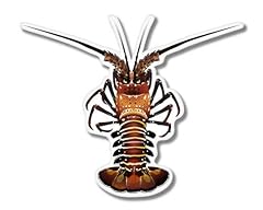 Spiny lobster vinyl for sale  Delivered anywhere in USA 