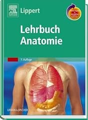 Lehrbuch anatomie studentconsu gebraucht kaufen  Wird an jeden Ort in Deutschland