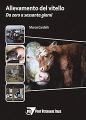 Allevamento del vitello. usato  Spedito ovunque in Italia 