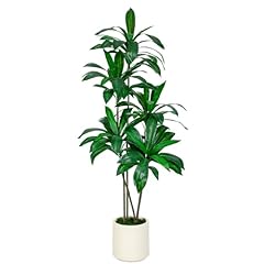 Vivatrees 6ft tall for sale  Delivered anywhere in USA 