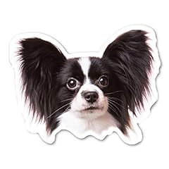 Papillon dog magnet for sale  Delivered anywhere in USA 