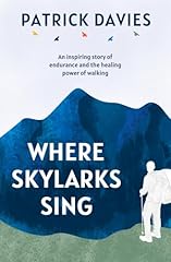 Skylarks sing inspiring for sale  Delivered anywhere in UK