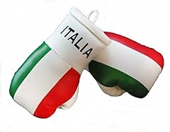 Mini boxhandschuhe italien gebraucht kaufen  Wird an jeden Ort in Deutschland