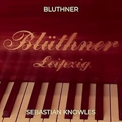 Bluthner usato  Spedito ovunque in Italia 
