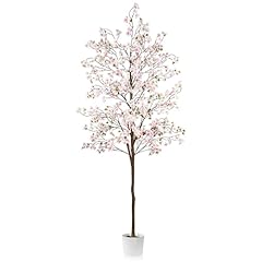 Caxchiling cherry blossom for sale  Delivered anywhere in USA 