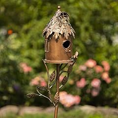 Copper color bird for sale  Delivered anywhere in USA 