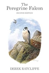 Peregrine falcon for sale  Delivered anywhere in UK