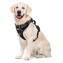 Funfox pull dog for sale  Delivered anywhere in UK